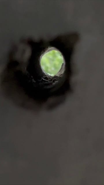 От создателей «сам решу» смотреть онлайн