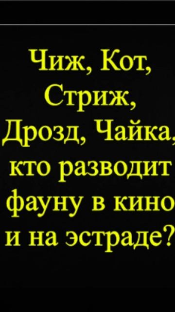 Мозгоправ самоубился. Книга первая. Вопрос 86