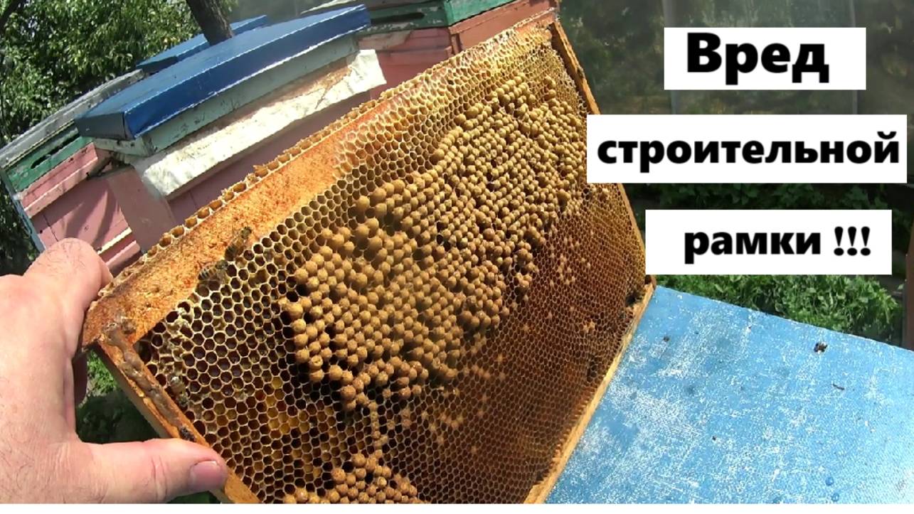 Польза и вред строительной рамки. смотреть онлайн