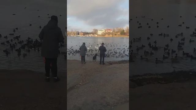 24 января 2024 г. смотреть онлайн