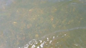 иркутская обл.: р.Ока купание