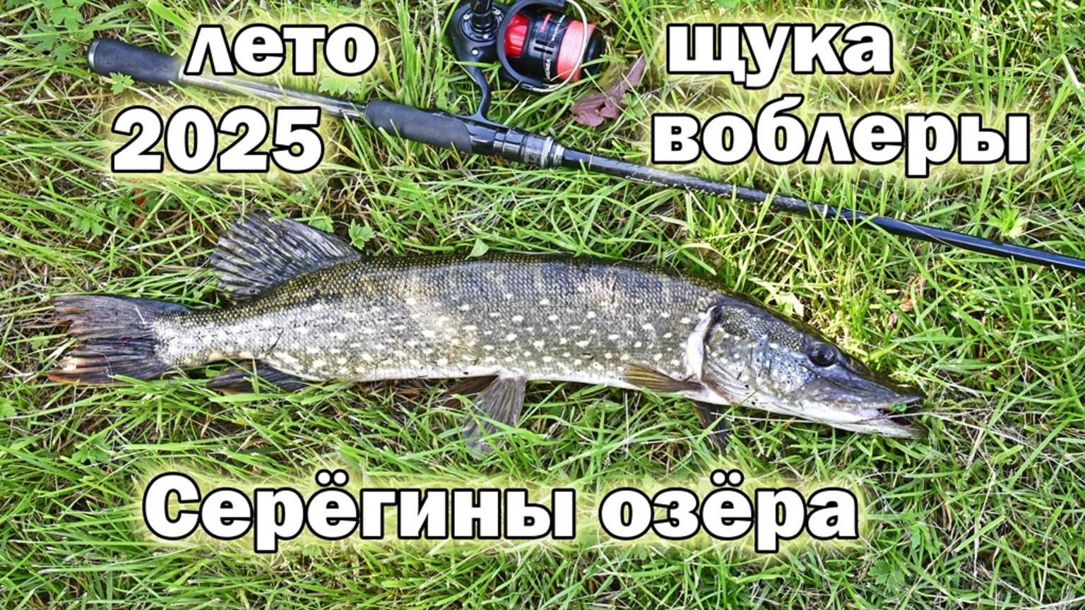 Летный выезд на любимый пруд