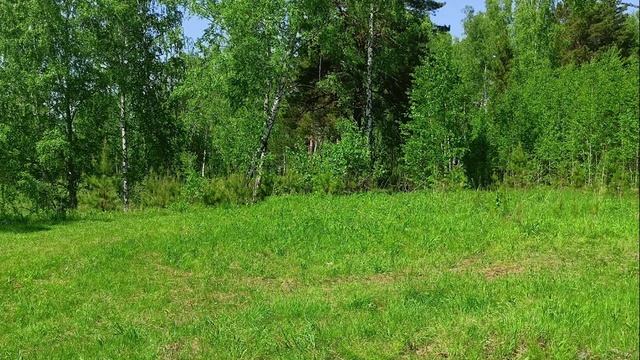 Очень правильные слова!!! Скажи спасибо Богу перед сном... смотреть онлайн