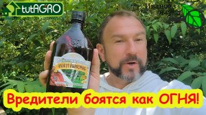 ТРОЙНОЙ УДАР ПО СЛИЗНЯМ и МУРАВЬЯМ! Лучшее проверенное пищевое средство от муравьев и слизней.