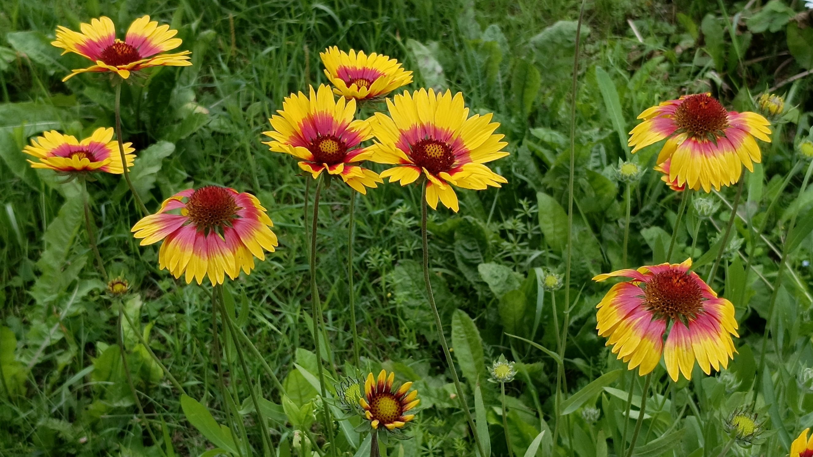 13-14-07-2025💥Влог💥воскресенье,понедельник смотреть онлайн