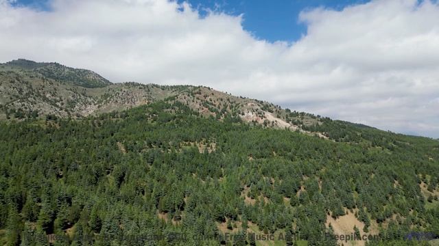 Дорога домой становится короче, когда её сопровождает этот саундтрек - Montevideo -- Duncan Reid And