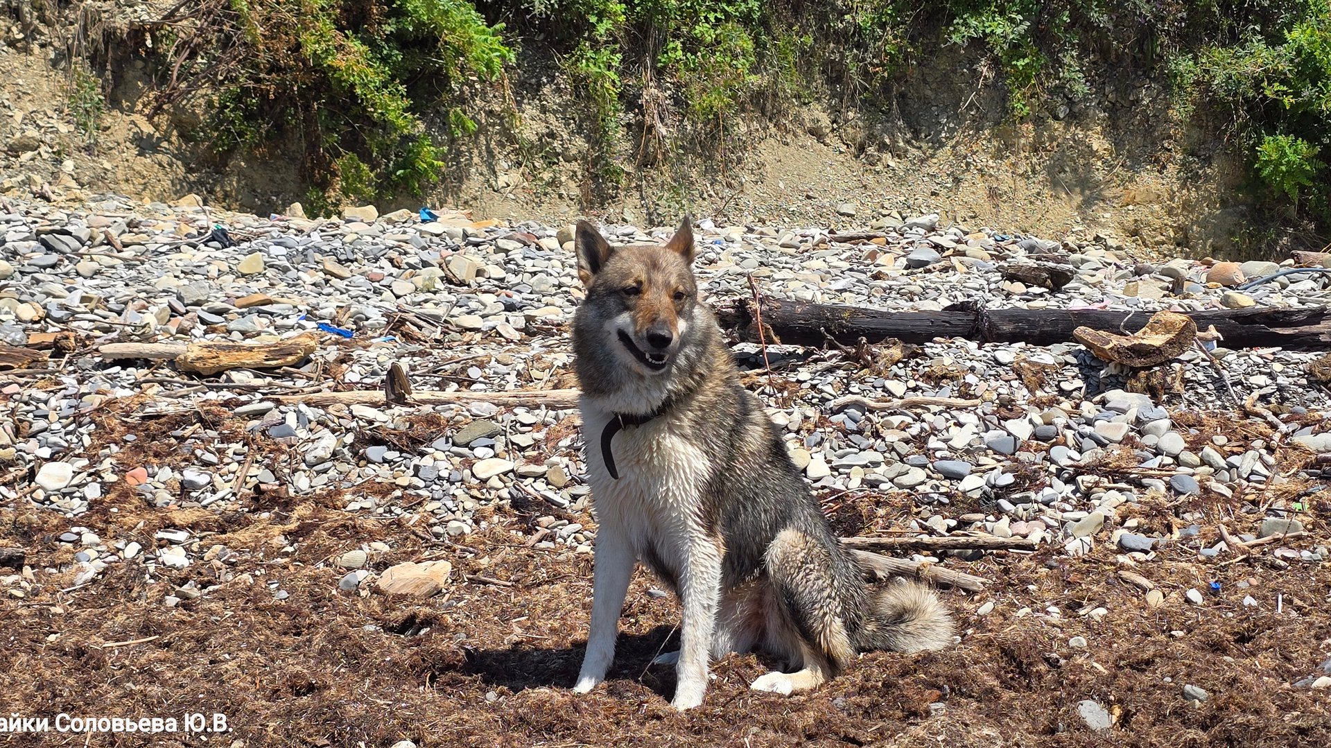 В конце пляжа