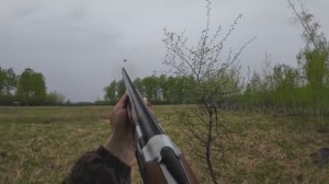 Охота на уток под проливным дождем