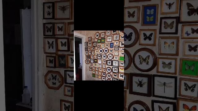 Мой дом, как музей.