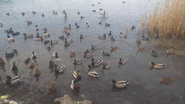 19 января 2024 г. смотреть онлайн