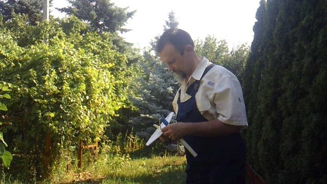 Авиатлон во дворе  14 июля 2025