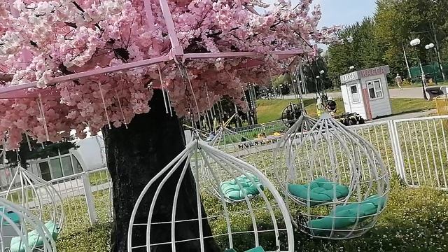 Развлекательный парк Амазония смотреть онлайн