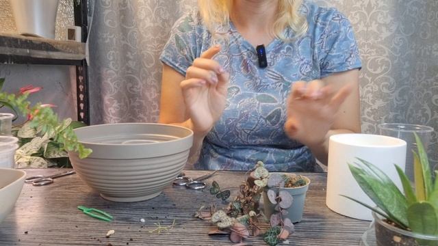 Как прошёл цветочный своп в Перми, пересаживаю новые растения. смотреть онлайн