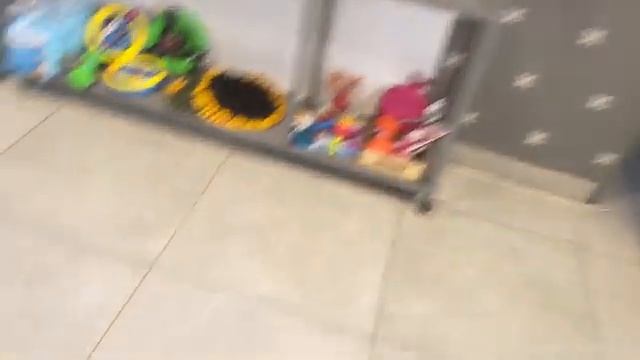 Собака Терри