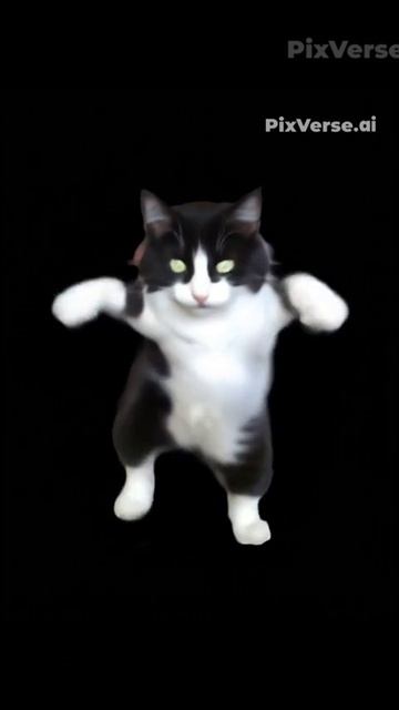 Кот🐱 Шрек😉✌👍