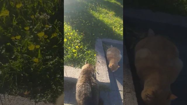 4 ноября 2024 г. смотреть онлайн