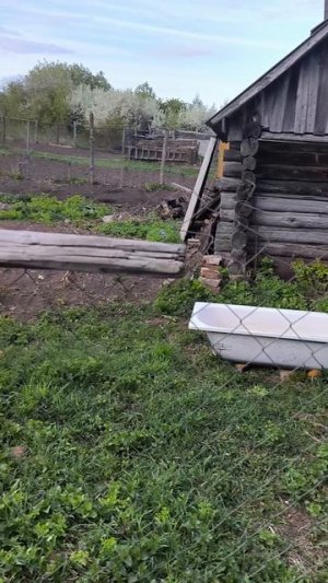 Псозерцание