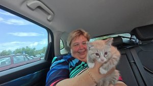 Забрали Абдугани  из лагеря. В нашей семье прибавление. Готовлю  пельмени.