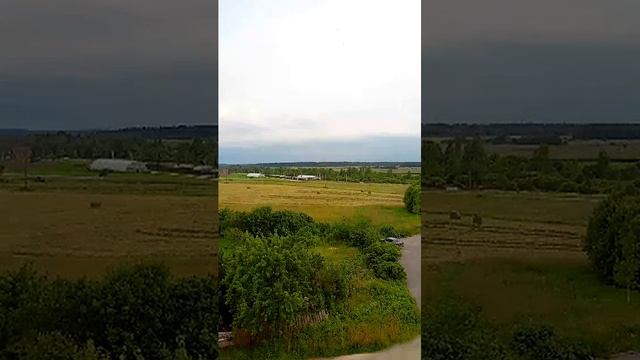 заготовка сена смотреть онлайн