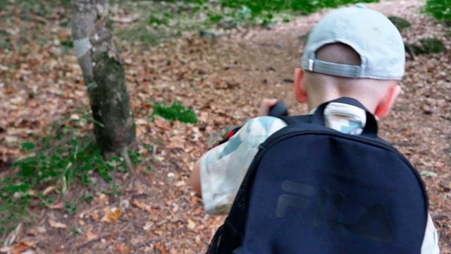 Эко тропа к водопаду смотреть онлайн
