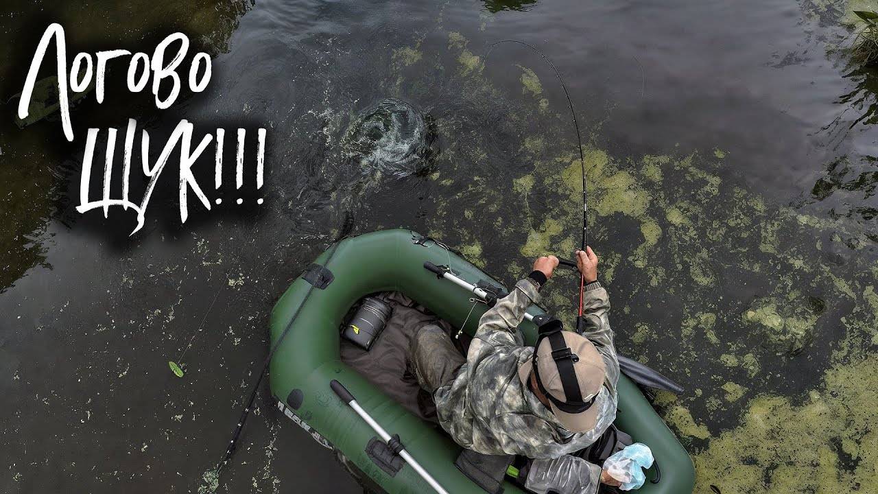 🔴 Нашел ЛОГОВО ГОЛОДНЫХ ЩУК!!! Ловля щуки на колебалку!💥🔥👍 смотреть онлайн