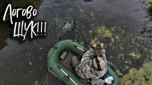 🔴 Нашел ЛОГОВО ГОЛОДНЫХ ЩУК!!! Ловля щуки на колебалку!💥🔥👍