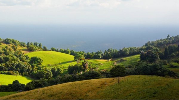 KoChuAto-Впечатлительный-Добрая музыка
