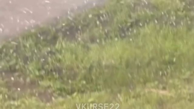 Град в Барнауле 14 июля смотреть онлайн