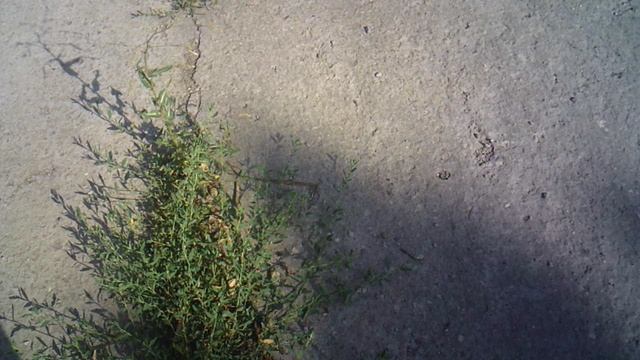 Геометрия и Астрономия !