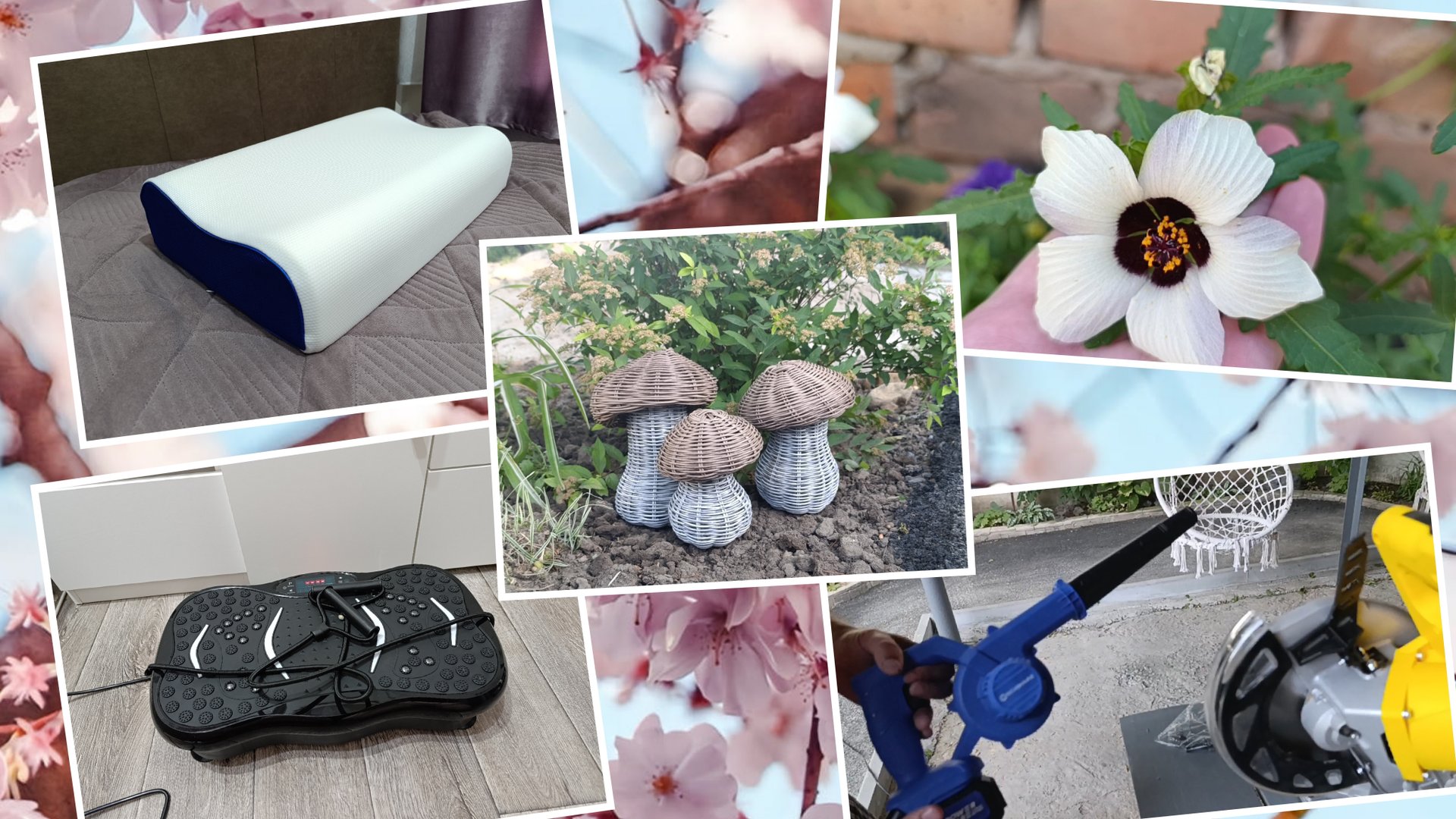 Грибы из ротанга . Покупки на WB. Сделали капельный полив ... смотреть онлайн