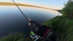 Поклёвка жереха "отдай спиннинг" 🎣
