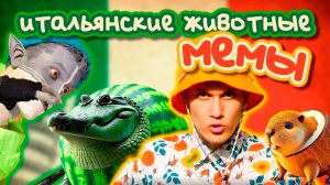 КОТ  УЧЁНЫЙ | ИТАЛЬЯНСКИЕ ЖИВОТНЫЕ (МЕМЫ)