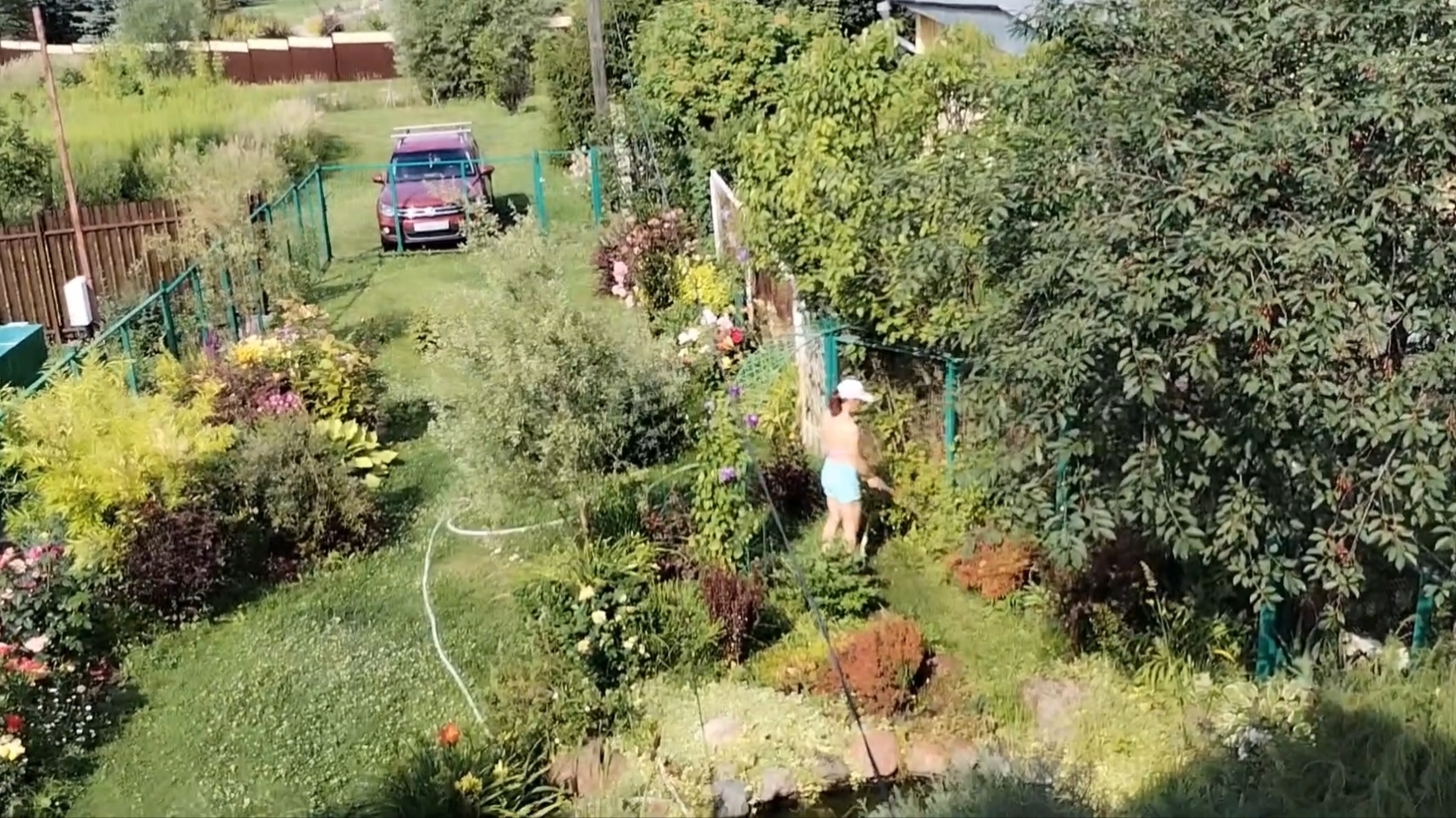 Первые огурцы и томаты. Жара, срочно все нужно полить. 12-07-2025 смотреть онлайн