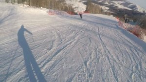 Горные лыжи