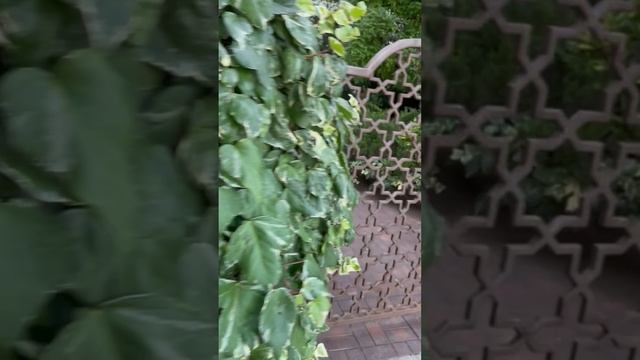 Ялта 💖💖💖 смотреть онлайн