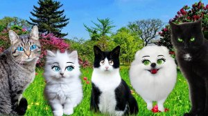 СЕРЬЁЗНО? Летние Происшествия Моих Звериков. Сборник из 5 видео ВЕСЁЛЫХ и не очень…