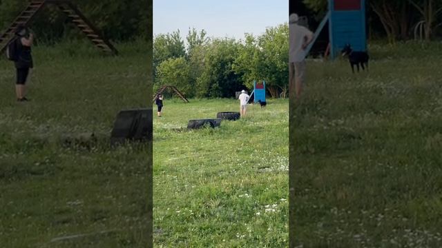video_2025-07-14_21-35-27 смотреть онлайн