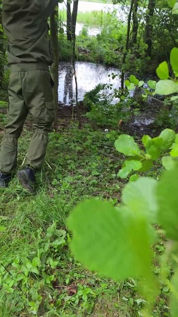 Квадроцикл валит деревья #Уран #Ultra смотреть онлайн