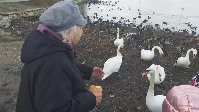 28 ноября 2023 г. смотреть онлайн