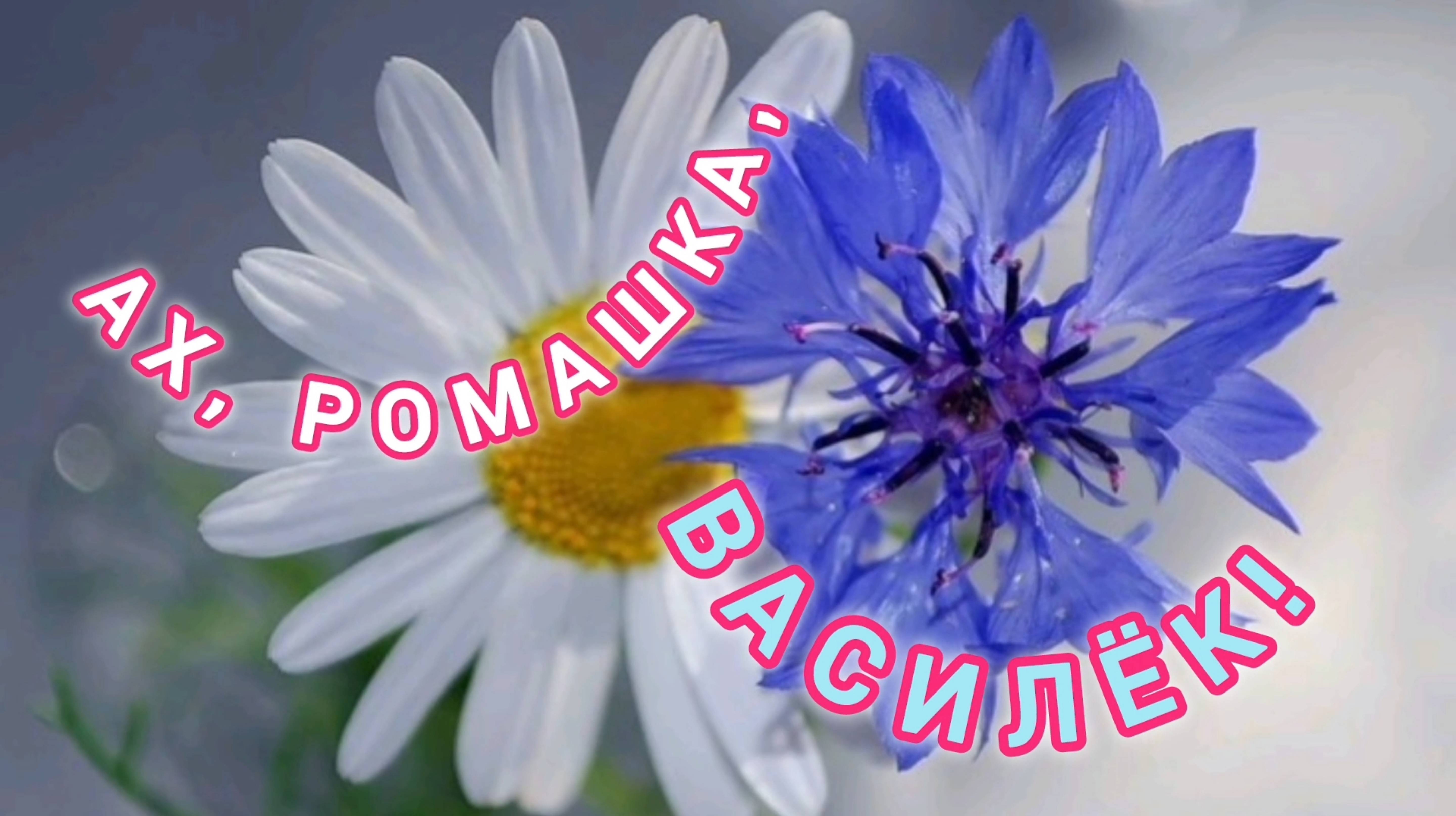 ТАТЬЯНА КУРТУКОВА. ,,АХ, РОМАШКА, ВАСИЛЁК "