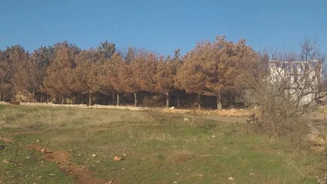 19 марта 2024 г. смотреть онлайн