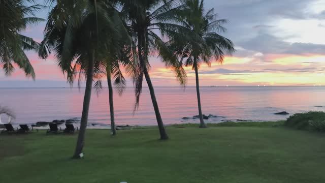 Отель-ракушка на Фукуоке: тишина, виллы и спорный сервис Обзор отеля The Shells Resort & Spa смотреть онлайн