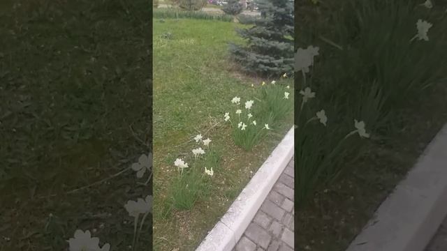 12 апреля 2024 г. смотреть онлайн