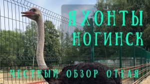 🇷🇺 Яхонты Ногинск 4*. Честный обзор загородного отеля в Подмосковье от Александра Теплякова.