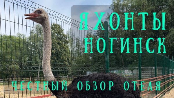 🇷🇺 Яхонты Ногинск 4*. Честный обзор загородного отеля в Подмосковье от Александра Теплякова.