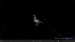 Они летят в прошлое быстрее света? Парадокс времени.