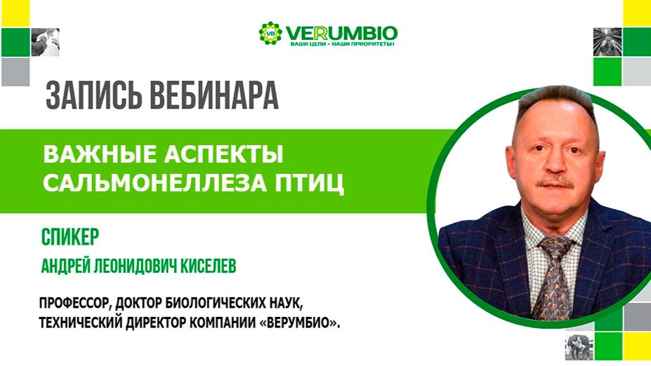 Запись вебинара 