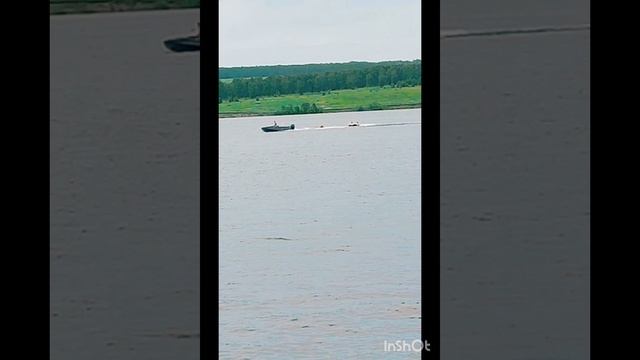 Вложик выходного дня. Купаемся, загораем с внучкой и племянницей. Смешной пудель. смотреть онлайн