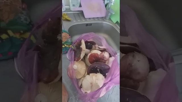 17 декабря 2023 г. смотреть онлайн