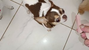 Все с удовольствием перекусили.